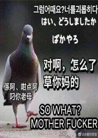 合家欢下半部