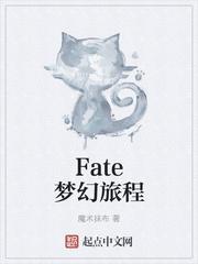 FATE梦幻旅程