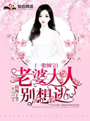 一胎俩宝老婆大人别想逃结局