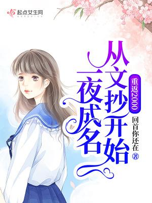 重返2000从文抄开始一夜成名455