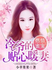 冷少的闪婚暖妻