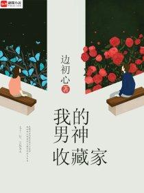 我的男神收藏家 佚名