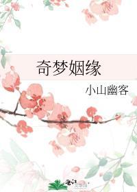 梦奇缘公会