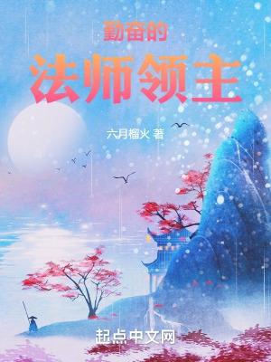 法师领主伊布