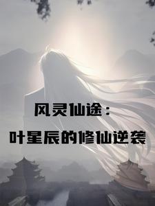 叶星辰左凌风