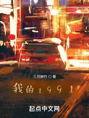 我的1991无防盗章节