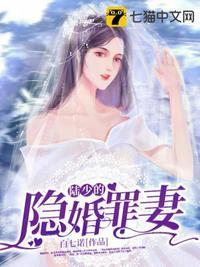 陆少的隐婚罪妻电视剧版