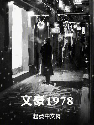 文豪1978免费全集