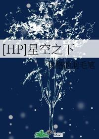 星空之下纯净吉林歌曲