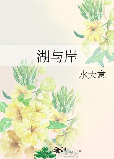 湖与岸游戏