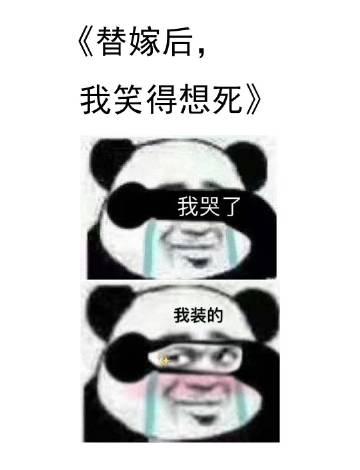 替嫁后我笑得想死谁是攻