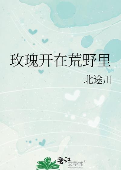 玫瑰正在绽放